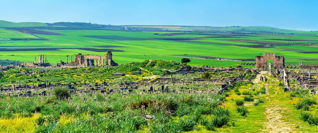 Archaeological Site of Volubilis in Meknes, Morocco