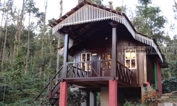 Jungle-Green-Homestay-5